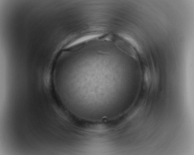 X0000092070492200709262048