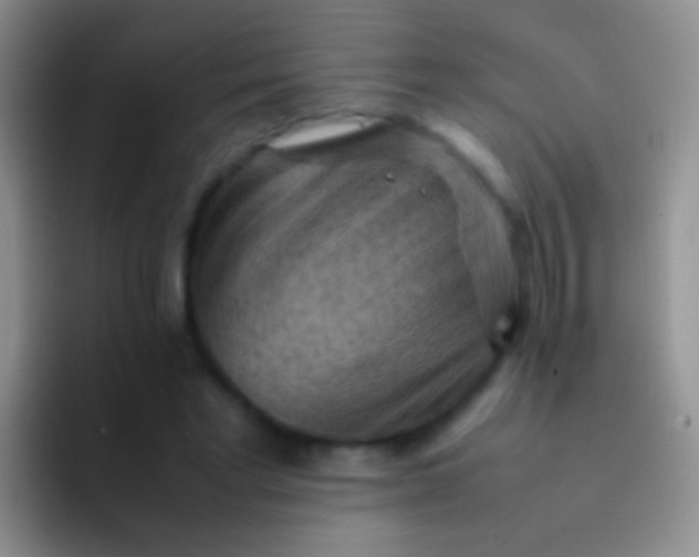 X0000092070493200709262048
