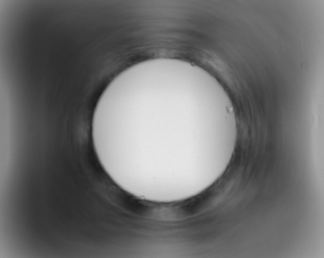 X0000092070499200709262048