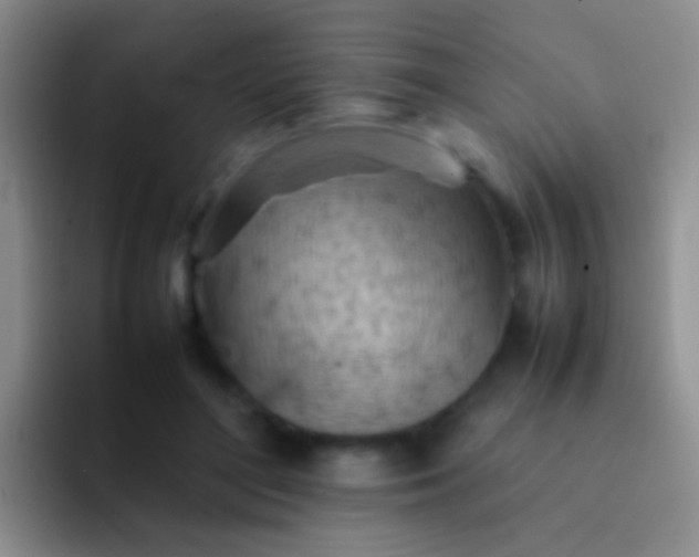 X0000092070500200709262048