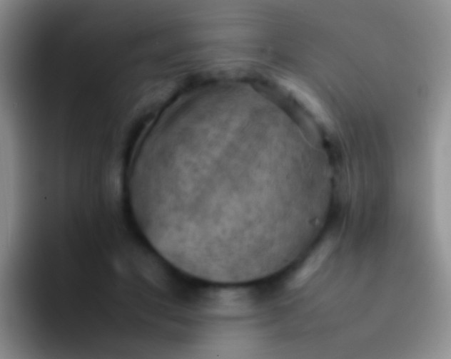 X0000092070501200709262048