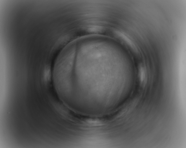 X0000092070502200709262048