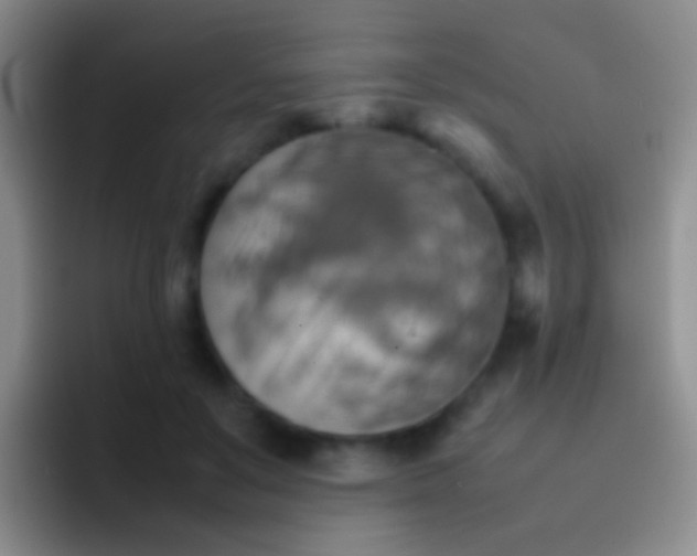 X0000092070503200709262048