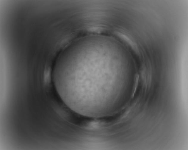 X0000092070504200709262048