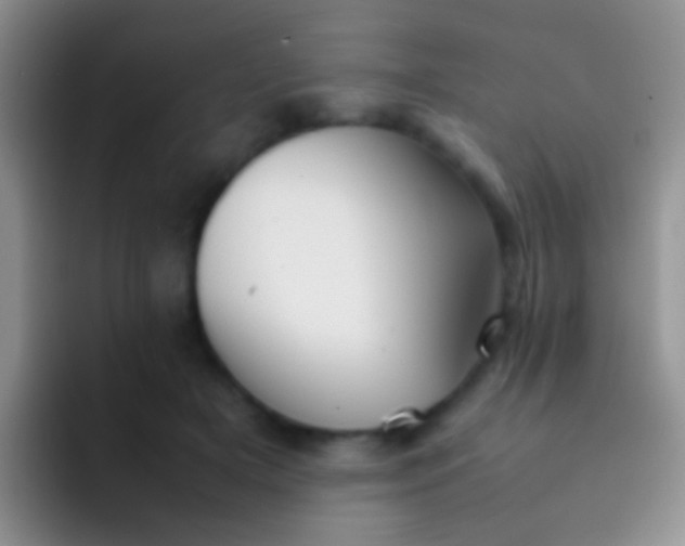 X0000092070505200709262048