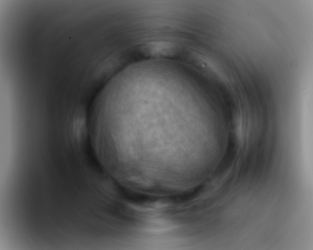X0000092070506200709262048