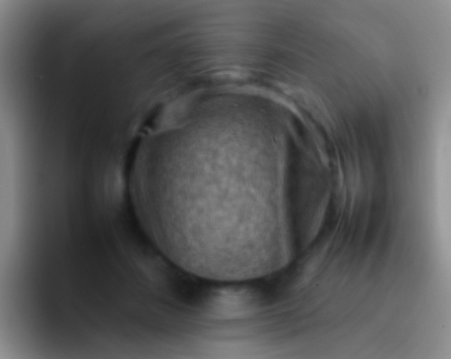 X0000092070508200709262048