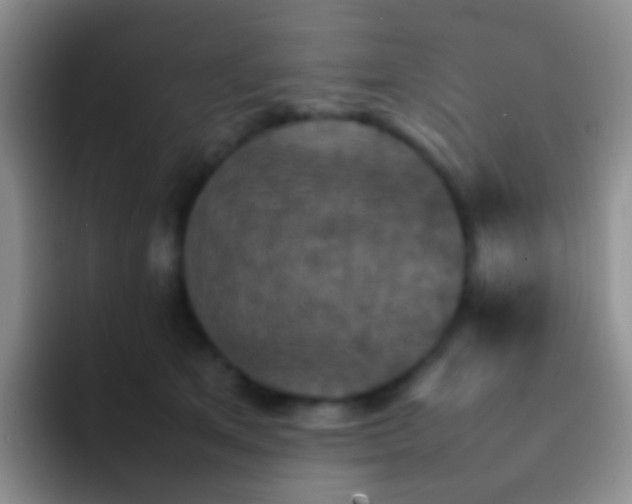 X0000092070513200709262048