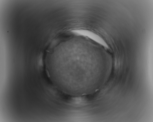 X0000092070516200709262048