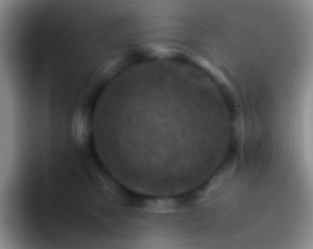 X0000092070517200709262048