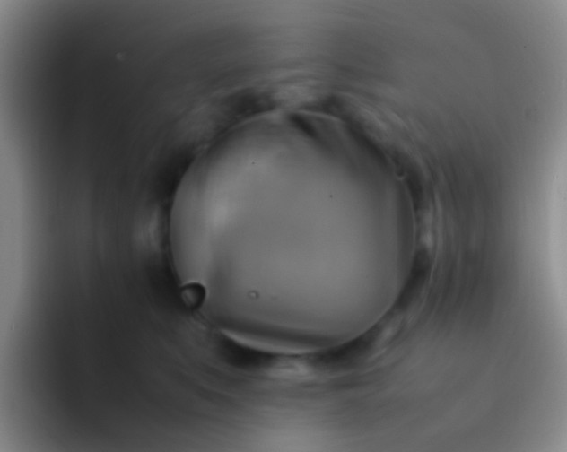 X0000092070519200709262048