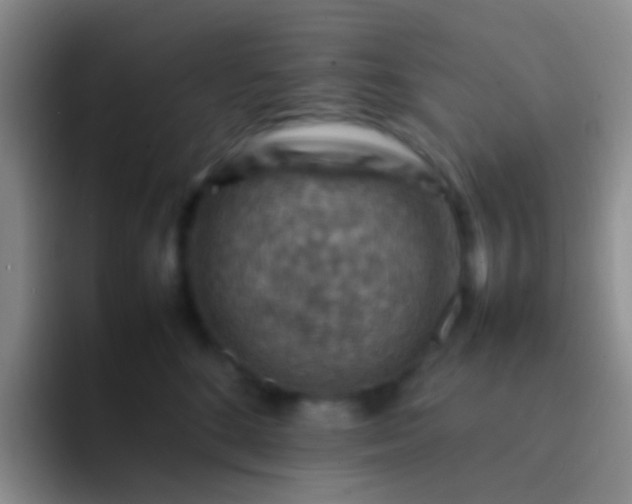 X0000092070520200709262048