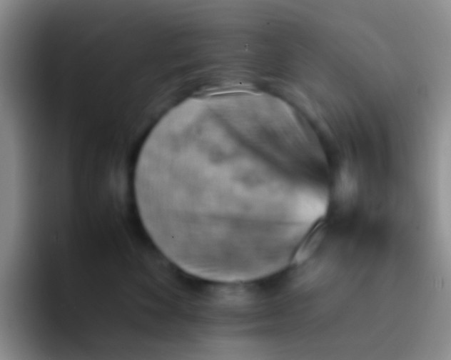 X0000092070524200709262048