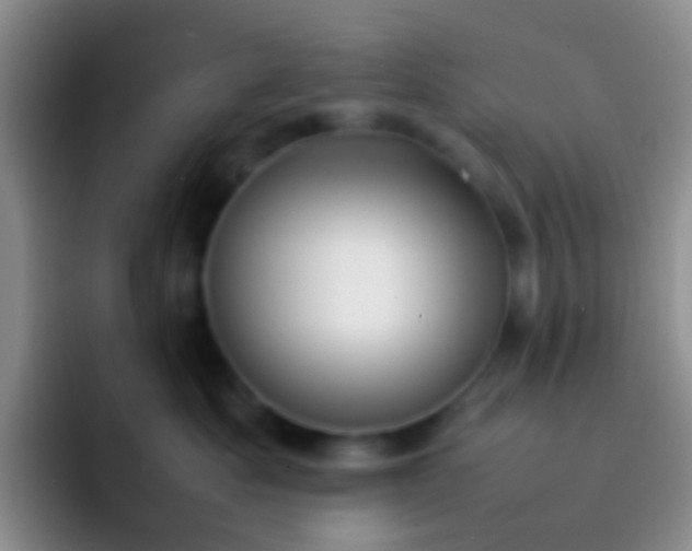 X0000092070525200709262048
