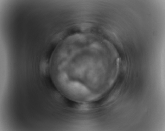 X0000092070527200709262048