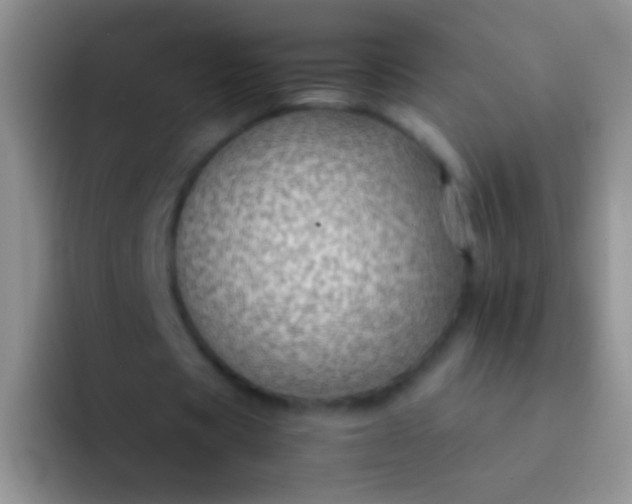 X0000092070529200709262047