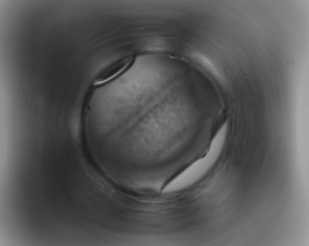 X0000092070531200709262047