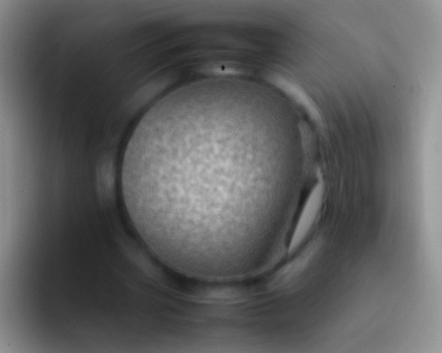 X0000092070533200709262048
