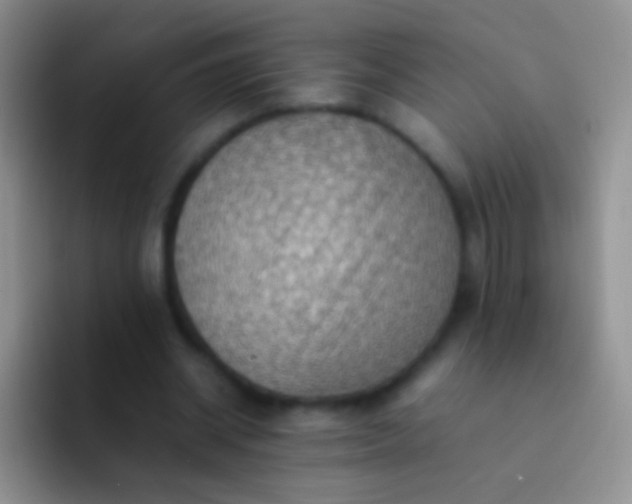 X0000092070534200709262048