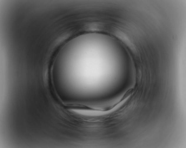 X0000092070535200709262048