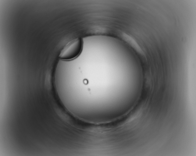 X0000092070538200709262048