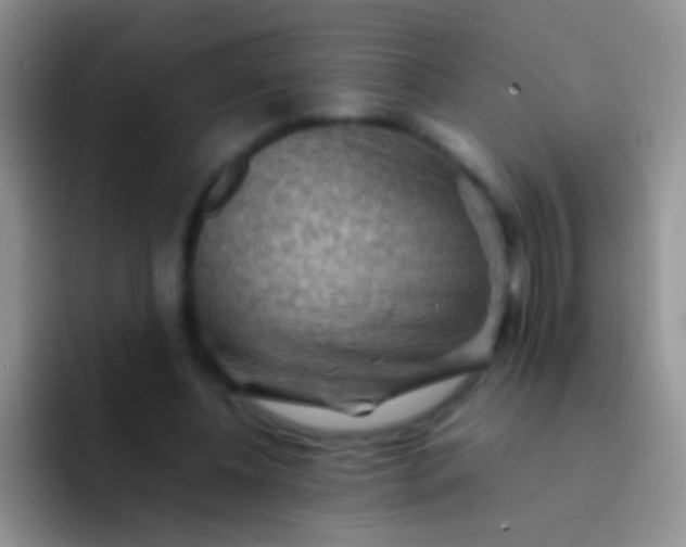 X0000092070540200709262048