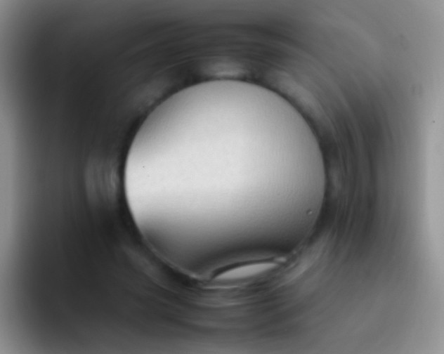 X0000092070541200709262048
