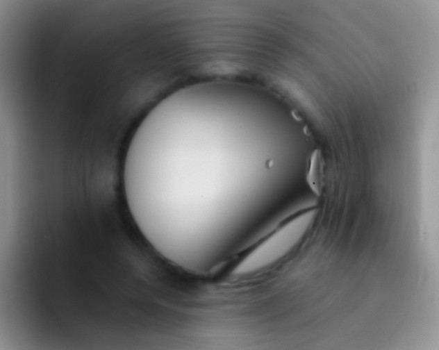 X0000092070544200709262048