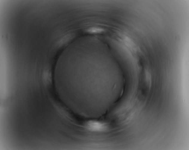 X0000092070547200709262048