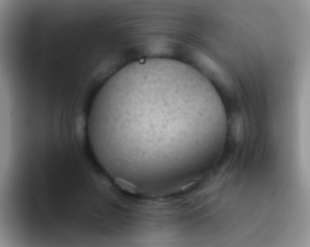 X0000092070550200709262048