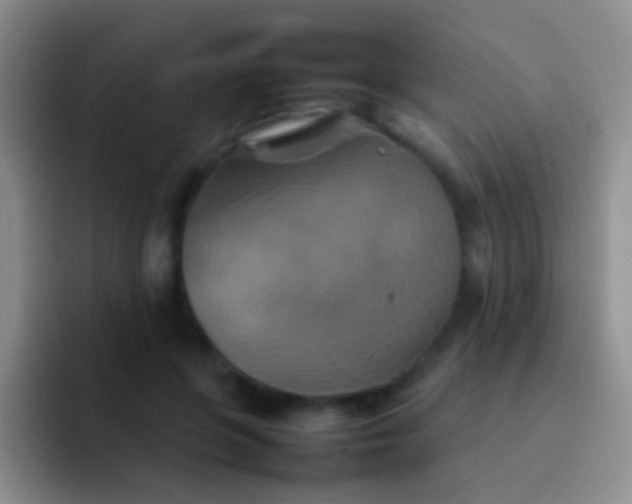 X0000092070551200709262048