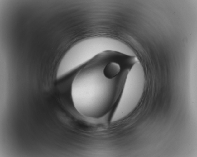 X0000092070552200709262048