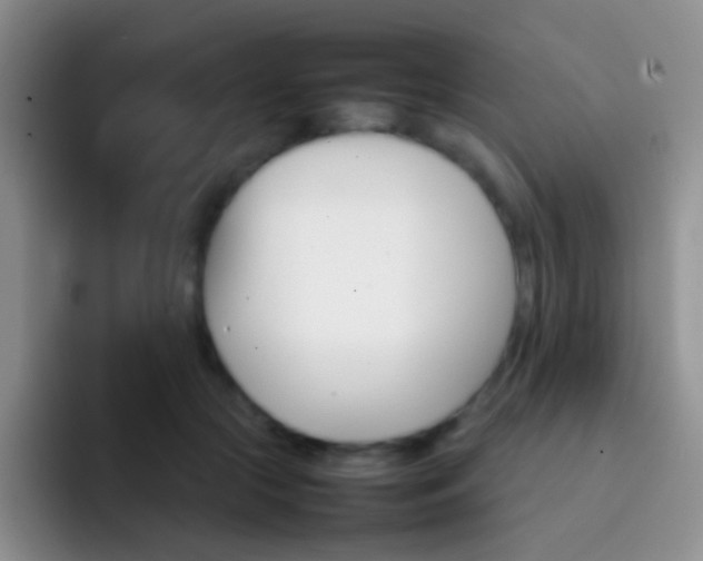 X0000092070553200709262048