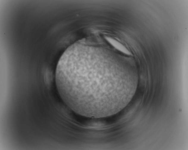 X0000092070555200709262048