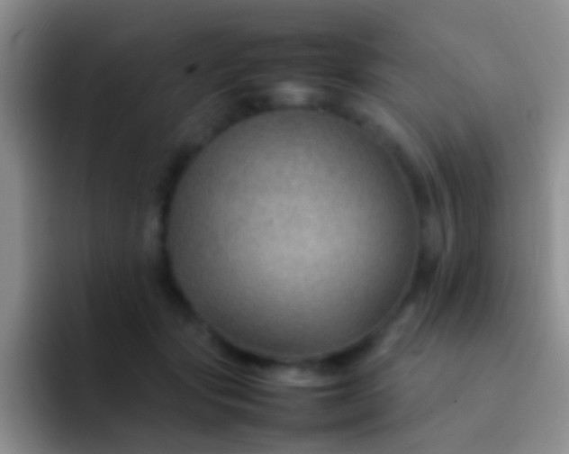 X0000092070557200709262048