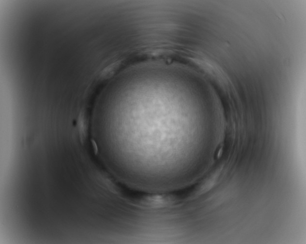 X0000092070558200709262048
