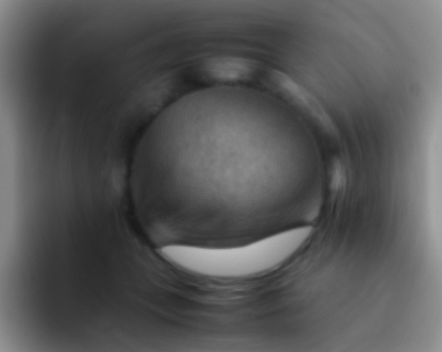 X0000092070559200709262048