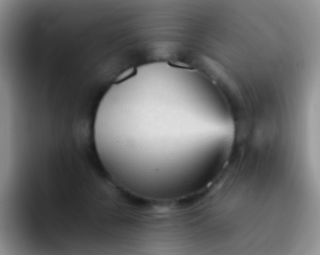 X0000092070560200709262048