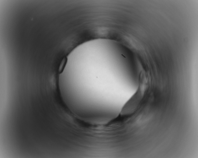 X0000092070562200709262048