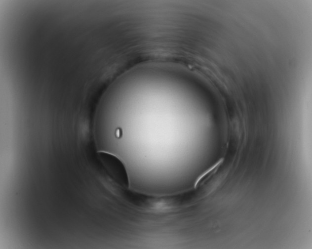 X0000092070564200709262048