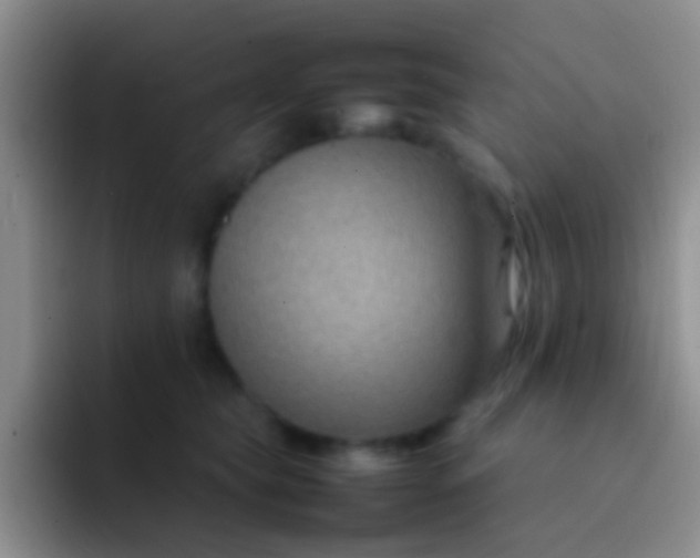 X0000092070565200709262048