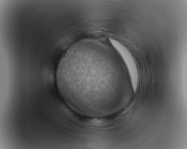 X0000092070566200709262048