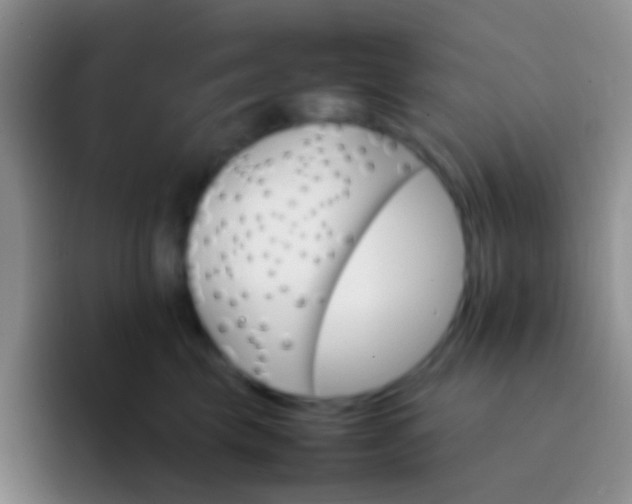 X0000092070569200709262048