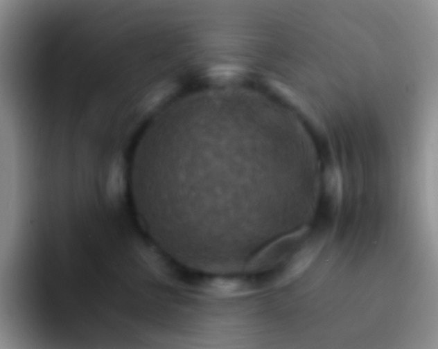X0000092070570200709262048