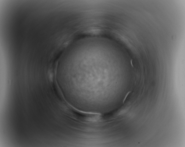 X0000092070576200709262048