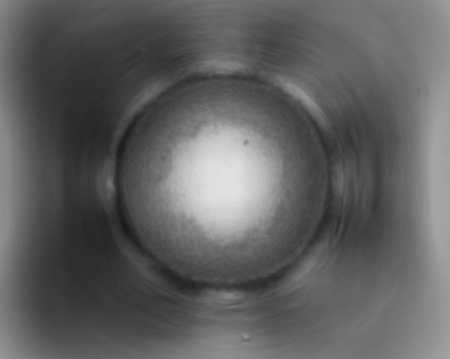 X0000092070582200709262047
