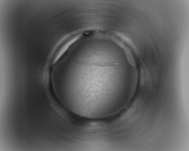 X0000092070584200709262047