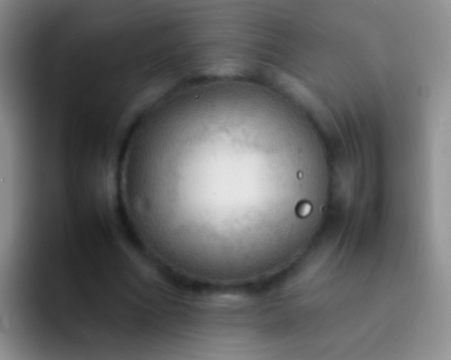 X0000092070586200709262047