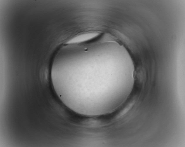X0000092070589200709262047