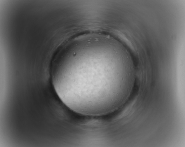 X0000092070593200709262047